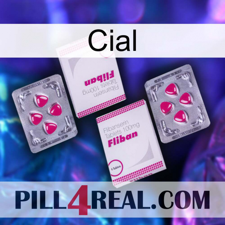 Cial 33